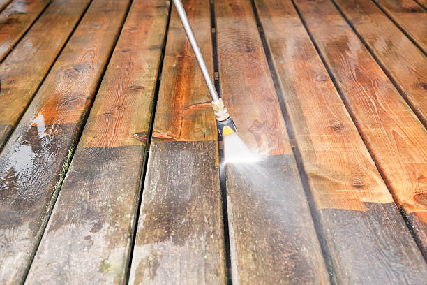 Best Animal Enclosure Cleaning  in Perry, OK